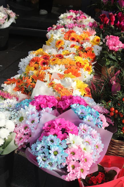 A display of vibrant flower bouquets arranged in a row on a black surface, featuring a variety of fresh flowers including pink, white, yellow, orange, and blue blooms. The bouquets are wrapped in soft